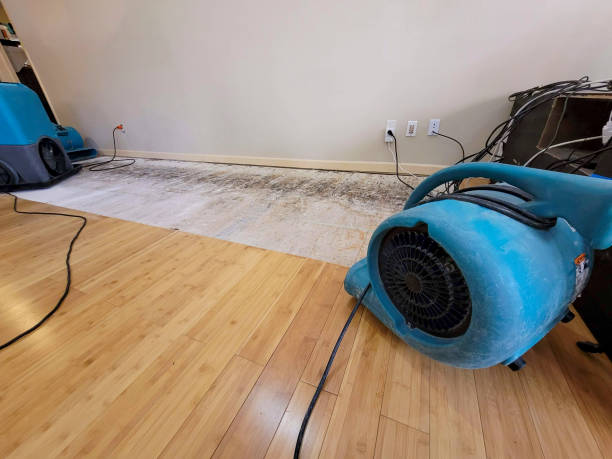 Professional Water Damage Repair technician working in Zoar, OH